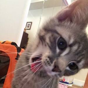 Fundraising Page: Kelly Stevenson